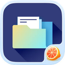 Manage your android phone with ease. Pomelo File Explorer File Manager Cleaner Apk 1 2 6 Download For Android Com File Explorer Manager Space Clean