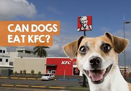 can dogs eat kfc dog friendly