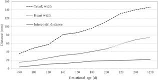 Relationship Between Gestational Age And Transabdominal