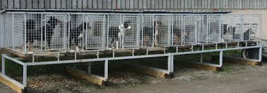 farming dog kennels new zealand dog