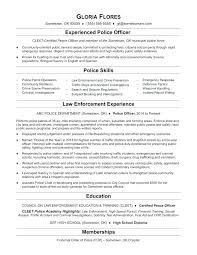 Police Department Cover Letter Serpto Carpentersdaughter Co
