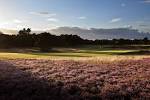 Old Course :: Walton Heath Golf Club