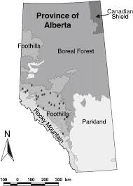 map of alberta showing the major forest