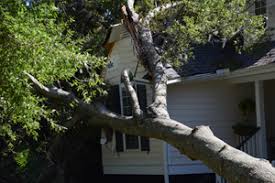 Maybe you would like to learn more about one of these? If A Tree Falls Is It Covered Farm Bureau Insurance