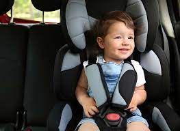 The Law On Car Seats Your Ultimate Guide