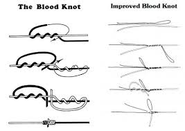 improved blood knot off 78% - medpharmres.com