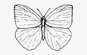 Embed this art into your website clipart butterflies black and white. Black White Butterfly Images Black And White Butterfly Clipart Png Image Transparent Png Free Download On Seekpng