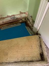 top rated water damage restoration