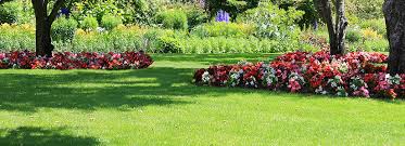 Lawn Care How To Grow Grass In Shade Bioadvanced