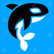 Killer Whale Orca Vector Royalty Free SVG, Cliparts, Vectors, and Stock  Illustration. Image 80834481.