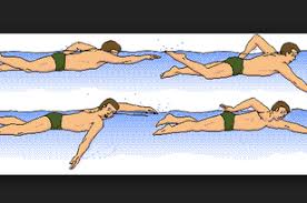 Pengertian renang gaya crawl renang gaya crawl menyerupai cara berenang seekor binatang, oleh sebab itu disebut dengan crawl yang artinya merangkak. Inilah Macam Macam Gaya Renang Lengkap Dengan Teknik Dan Gambarnya Dream Co Id