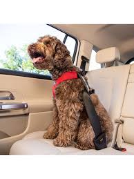 It Sport Dog Car Safety Harness