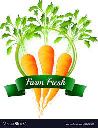 fresh carrots with a farm label royalty