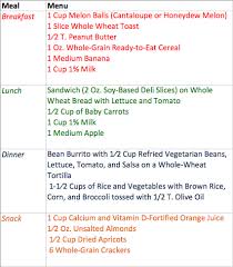 sle 1 day lacto ovo vegetarian menu