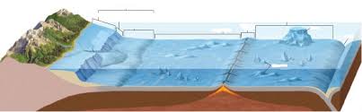 ocean floor diagram quizlet