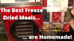 homemade freeze dried meals the best