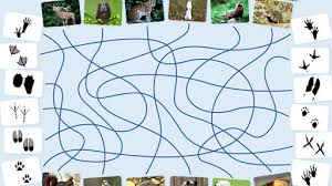 Eine lineare abbildung (auch lineare transformation oder vektorraumhomomorphismus genannt) ist in der linearen. Tierspuren Die Seite Mit Der Maus Wdr
