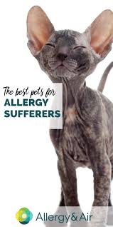 What causes people to be allergic to cats. Best Pets For Allergy Sufferers