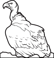 Vulture bird coloring page from vultures category. Printable Vulture Coloring Page For Kids 2 Supplyme