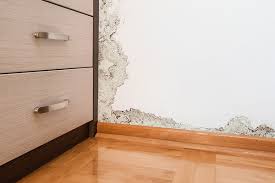 Remove Mould From Walls Ceilings