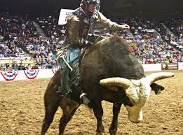 Rodeos National Western Stock Show And Rodeo