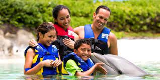 10 things to do in oahu with kids go
