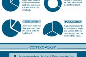 Pie Chart Infographics Visual Ly