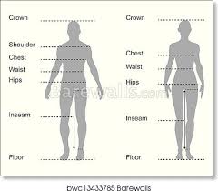 Select from premium female anatomy diagram of the . Size Chart Measurement Diagram Of Male And Female Body Measurements For Clothing Art Print Barewalls Posters Prints Bwc13433785