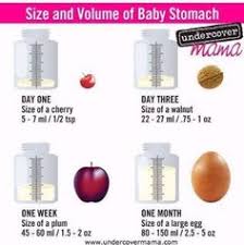 11 Best Newborn Stomach Size Images Newborn Stomach Size