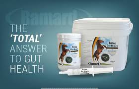 Ramard Total Gut Health Supplements for Horses- Equine Digestive Supplements