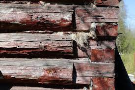 dangers of creosote treated wood