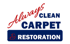 always clean carpet and restoration