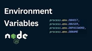 how to setup environment variables