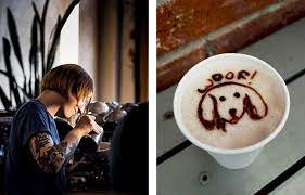dog friendly coffee s in houston