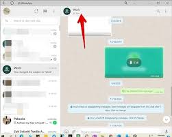 add contacts to whatsapp group