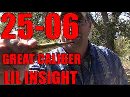 25 06 Great Caliber Lil Insight