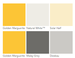 Golden Marguretite Dulux Colour Pallet Yellow Grey White