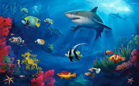 Underwater life wallpaper - Digital Art ...