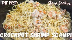 crockpot shrimp sci