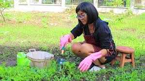 Seminar and tutorial videos on a variety of subjects from gardening to home decor. Asian Woman Planting Organic Vegetable Stock Footage Video 100 Royalty Free 17851450 Shutterstock