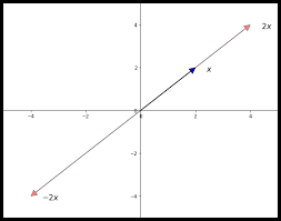 3 Linear Algebra Quantitative