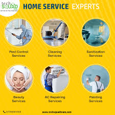 professional home service experts in