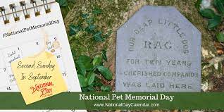 Memorial day is a special day for our country to honor and remember those who have died in the line of duty. Memorial Day Observance Program Ideas Memorial Day Observance Program Ideas Personalized