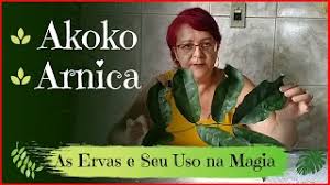 We did not find results for: Akoko Arnica As Ervas E Seu Uso Na Magia Fogoprateado Youtube