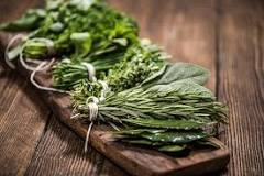 Image result for rosemary herb