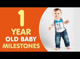 1 year old baby milestones you