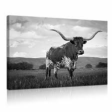 Large Animals Canvas Wall Art Texas