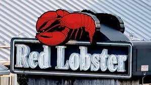 red lobster responds to video of mother