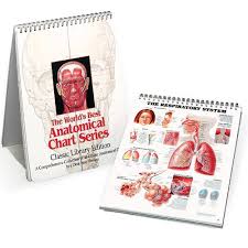 Anatomical Chart Book The Worlds Best Anatomical Chart