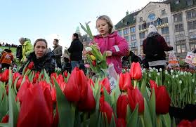 national tulip day amsterdam winter